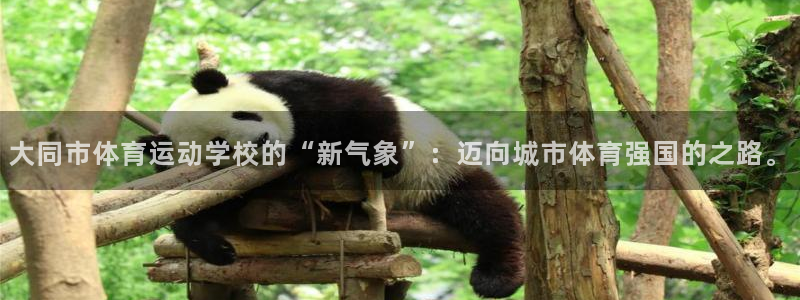 3377体育官方正版app开户:大同市体育运动学校的“新气象